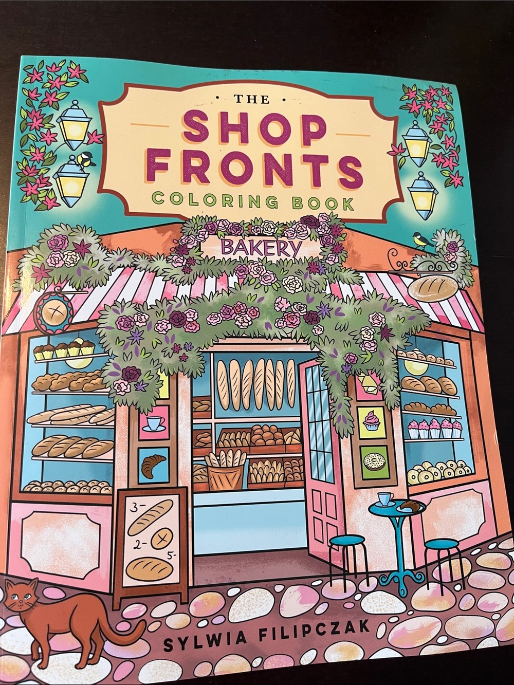 The Shop Fronts Coloring Book
